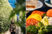 Private Golden Circle Day Tour with locals | Midgard Adventure | Iceland