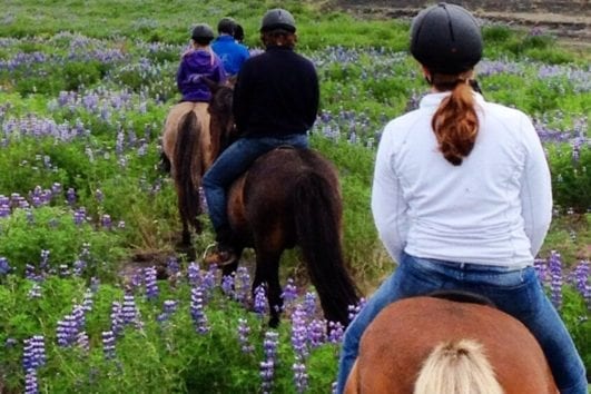 Útreiðatúr meðfram Rangá