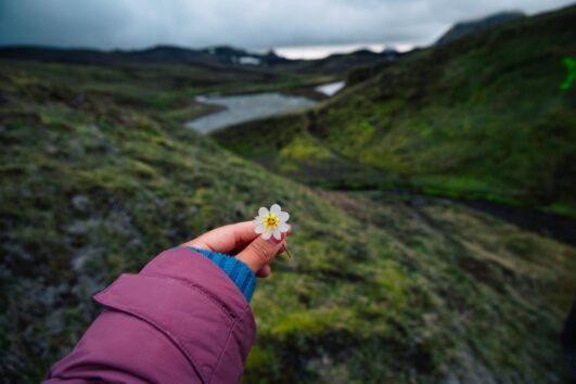 Private "Not in your guidebook" Adventure