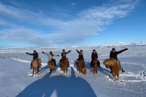 Horse riding tour South Iceland - beginners