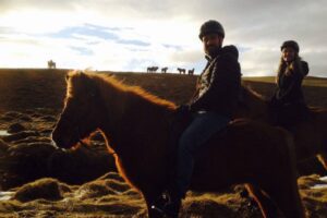 Horse riding tour South Iceland - beginners