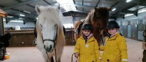 Horse farm visit for children south Iceland