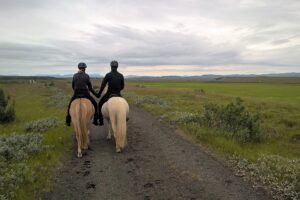 Horse riding tours South Iceland experienced riders
