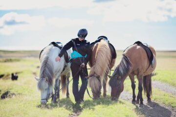 Horse riding tours South Iceland experienced riders