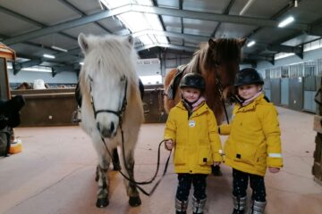 Horse farm visit South Iceland
